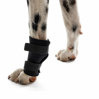 3 6 Protetor carpal